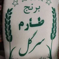برنج طارم