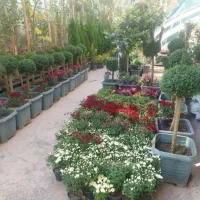 خدمات باغبانی باغچه کاری گل کاری هرس کاری درختکاری