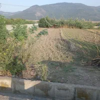 زمین رامیان