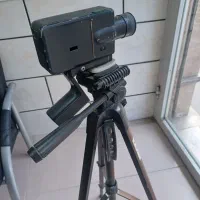 کلکسیونی|کلکسیون اشیاء عتیقه|مینودشت, |دیوار