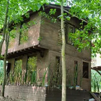 ویوئی-که-هیچ-وقت-تکرار-نمی-شود