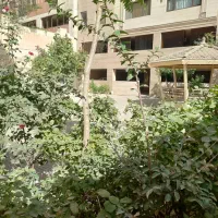 ۱۴۵ متر/۳ خواب/۲ پارکینگ/شهرک نفت|اجارهٔ آپارتمان|تهران, شهرک نفت|دیوار