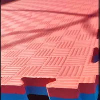 تاتامی فدراسیونی