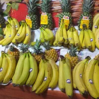 نیروی کار برای مغازه میوه فروشی