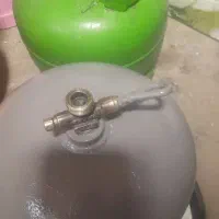 پیک نیک 2 عدد