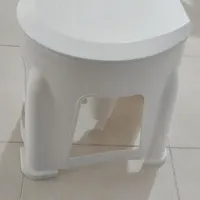 توالت فرنگی
