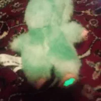 لبوبو اصل نونو|اسباببازی بچه|اسلامشهر, شهرک سعیدیه|دیوار