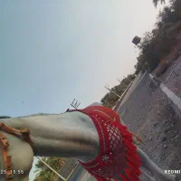 اسب|اسب و تجهیزات اسبسواری|جیرفت, |دیوار