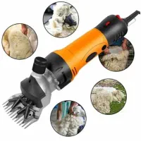 پشم چین گوسفند ( ابزار من کرمان اقساط بدون بهره )