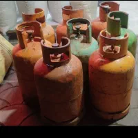 کپسول پارس سالم