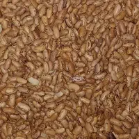 حبوبات ، نخود ، عدس ، لوبیا چیتی هندی|خوردنی و آشامیدنی|تربتحیدریه, آغوی|دیوار