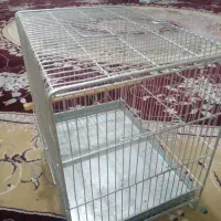 سهره و قناری