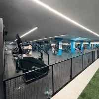 استخدام رزروشن