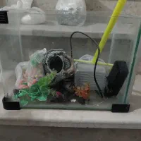 آکواریم مفت