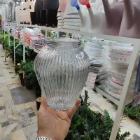 گلدان شیشه ای بامبو خمره شیشه شامپاینی آگلونما ناز|صنایع دستی و سایر لوازم تزئینی|قم, ولیعصر|دیوار