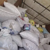 ضایعات خرما مضافتی بم