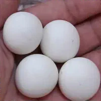 کارشناسی وخریدو فروش