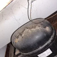 یخچال کارکرده|یخچال و فریزر|گوراب زرمیخ, |دیوار