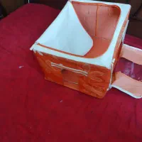 باگس گربه برزنتی سالم