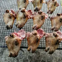 کله پاچه میش بره بز|خوردنی و آشامیدنی|اسلامشهر, شهرک سعیدیه|دیوار