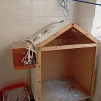 قفس چوبی|لوازم جانبی حیوانات|مشکیندشت, |دیوار