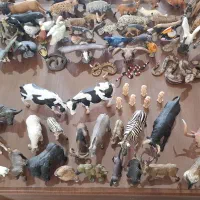 کلکسیون حیوانات|کلکسیون و سرگرمی|اندیشه, اندیشه فاز ۵|دیوار