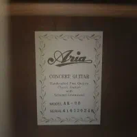 گیتار ak80 به همراه هاردکیس