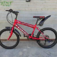 دوچرخه‌ی حرفه‌ای سایز 20 ویوا