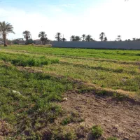 منزل-اجاره-ای-در-مسکن-مهر