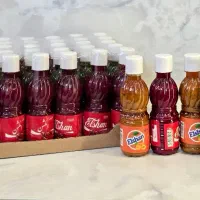 تولیدی تمر و لواشک نوشابه ای ایلشن