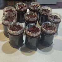 مربای به خانگی|خوردنی و آشامیدنی|کاشان, شهرک خاتم الانبیا (مسکن ملی کاشان)|دیوار