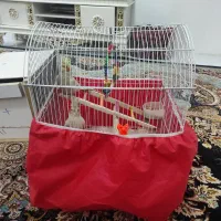 فروش فوری عروس هلندی