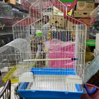 انواع قفس و ملزومات پرندگان|لوازم جانبی حیوانات|میاندوآب, |دیوار