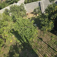 فروش زمین 500متری باکاربری مسکونی|فروش زمین و ملک کلنگی|چابکسر, |دیوار