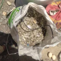 کودکفتر