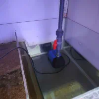 اکواریوم اب شور در حال کار کاملا سالم همراه ماهی|ماهی|تهران, صاحب الزمان|دیوار