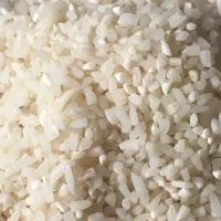 سان بینج برنج صد در صد ایرانی|خوردنی و آشامیدنی|مشهد, رضاشهر|دیوار