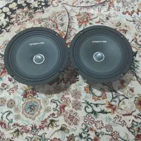 میدرنج اسپیدوارد سایز ۶.نیم