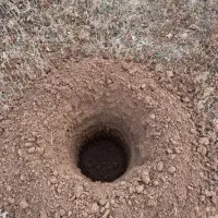 چاله کن انواع تیرچه باغ و نهال