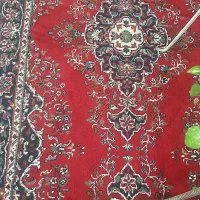 فرش کناره ۱ در ۲۲۰|فرش|کرمانشاه, |دیوار