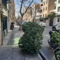 ۶۰متری وحیدیه