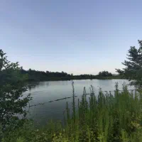 استخرماهی ۳هکتارجاده جیرده|فروش زمین و ملک کلنگی|شفت, |دیوار