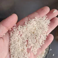 سرلاشه عطری|خوردنی و آشامیدنی|باقرشهر, |دیوار
