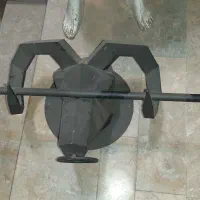 رگال