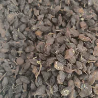 کشمش مویز|عمدهفروشی|ری, ملکآباد|دیوار