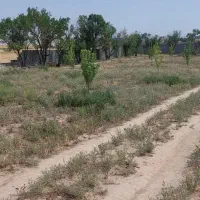 باغ وزمین کشاورزی حاشیه جاده روبه روی دانشگا آزاد