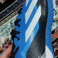 کفش فوتسال برند آدیداس|ورزش‌های توپی|قم, ولیعصر|دیوار