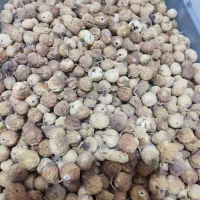 انجیر ارگانیک استهبان|خوردنی و آشامیدنی|شیراز, شهرک پرواز|دیوار