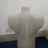 مانکن درحد مردانه|فروشگاه و مغازه|بوکان, |دیوار