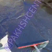 ایزوگام مایع و عایق کاری استخر با 5سال زمانت|خدمات پیشه و مهارت|محمدشهر, هزار واحدی|دیوار